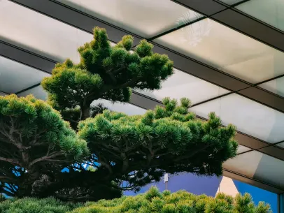 ArcaneBet Kasino Mobilní aplikace